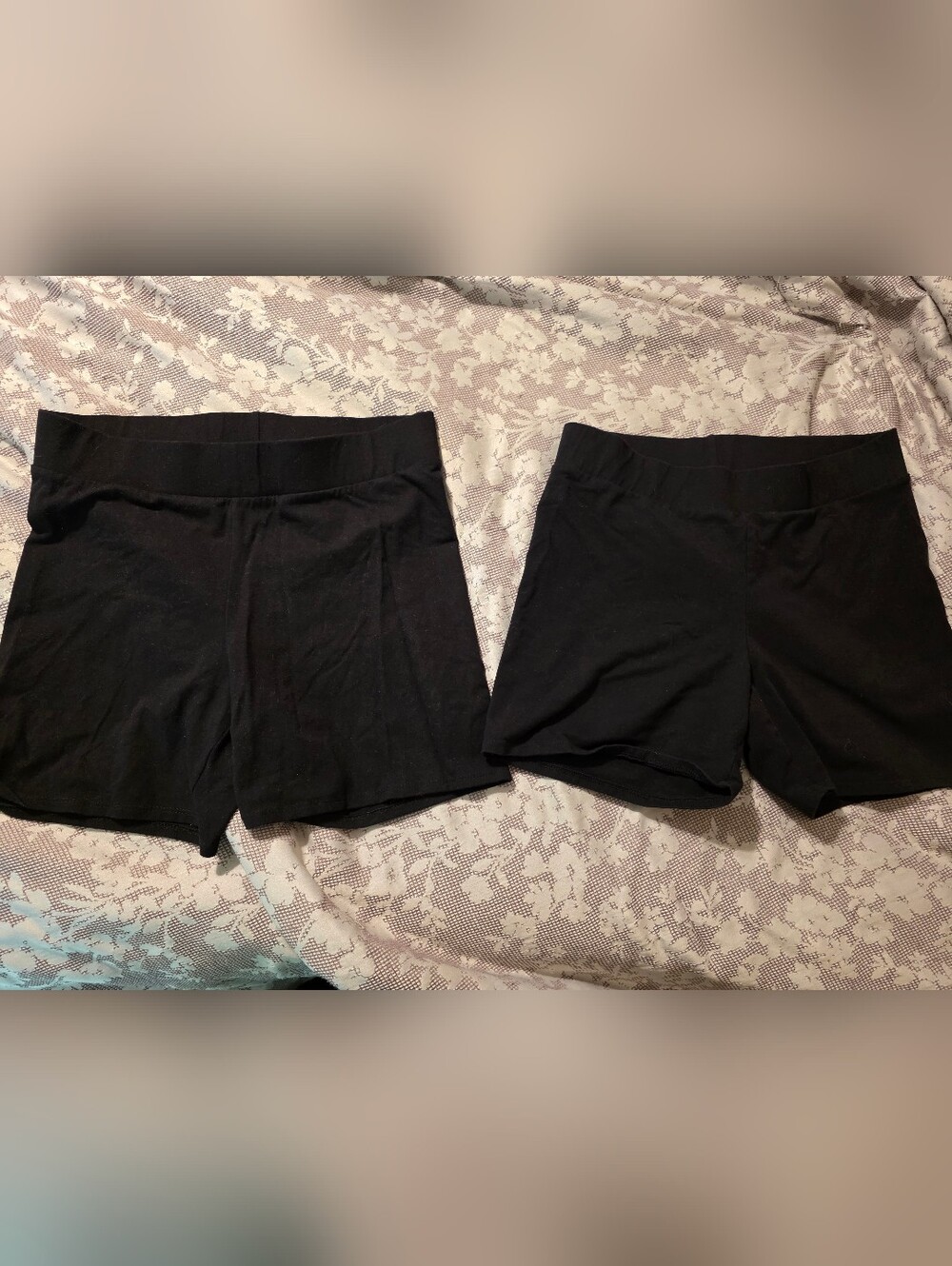 Torrid Shorts